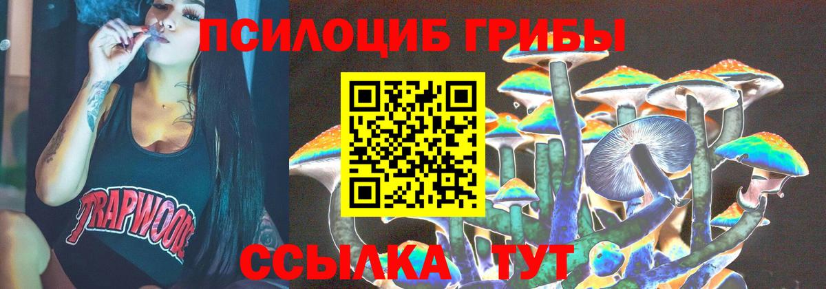 Псилоцибиновые грибы Magic Shrooms  Вход с VPN  Вичуга 